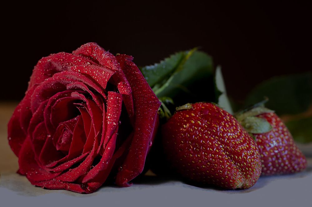 Photograph by Гусева Елена