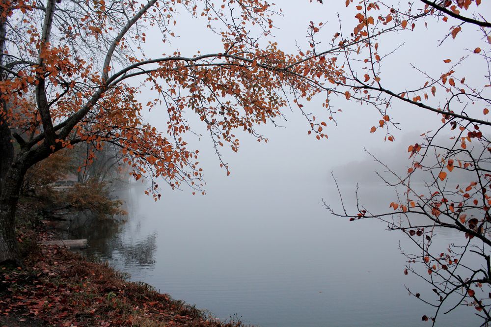 Photograph by Алёна Тополян