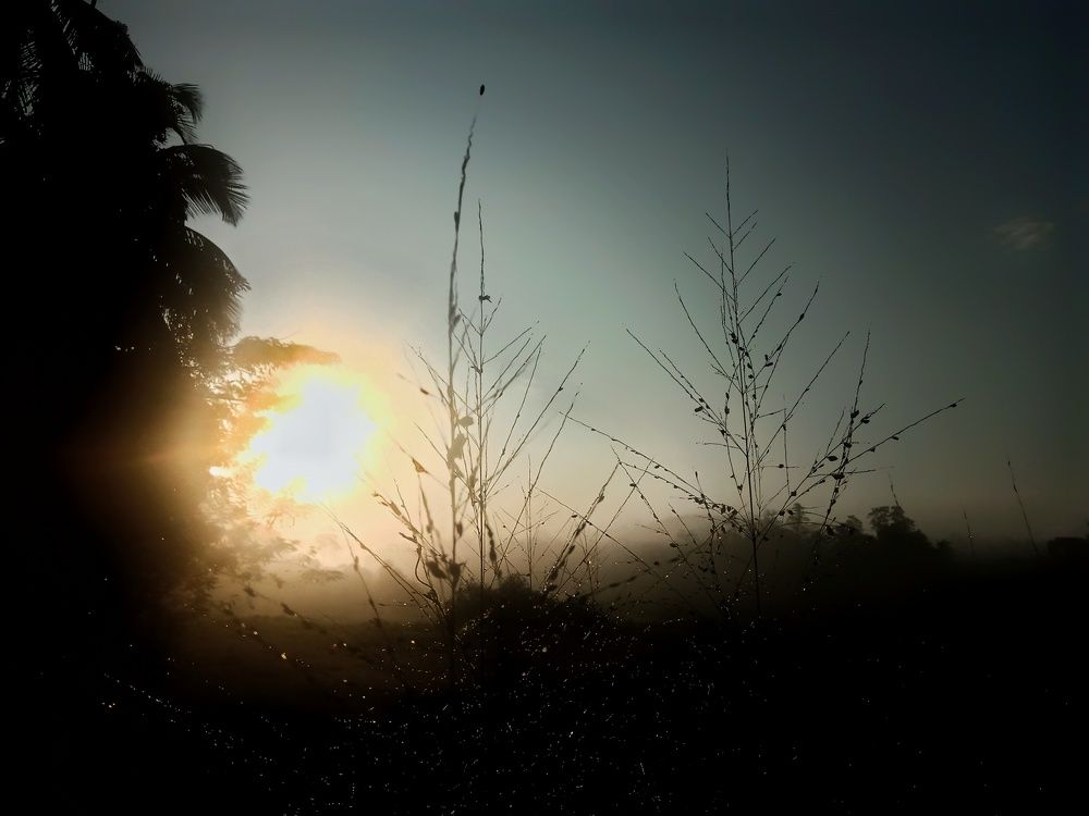 Photo #8328925