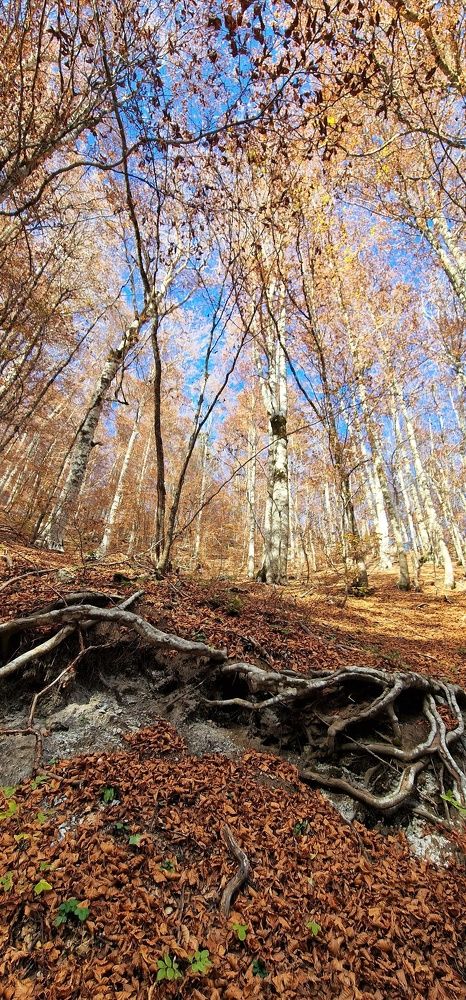 Photograph by Nadzeya