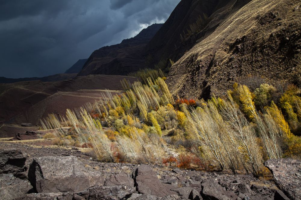 Фотография автора Ershad Mazloomi