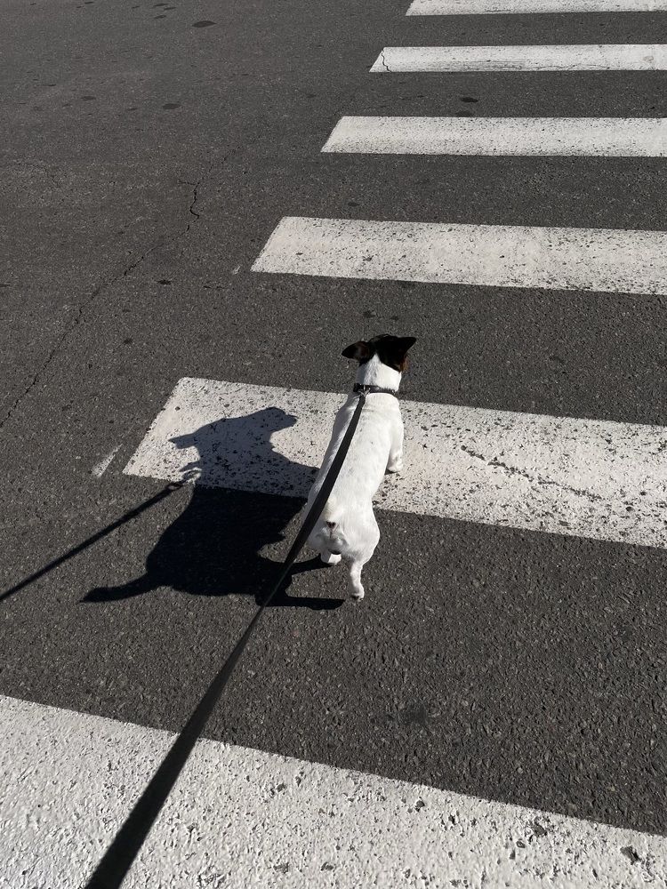 Фотография автора Ирина Мосько