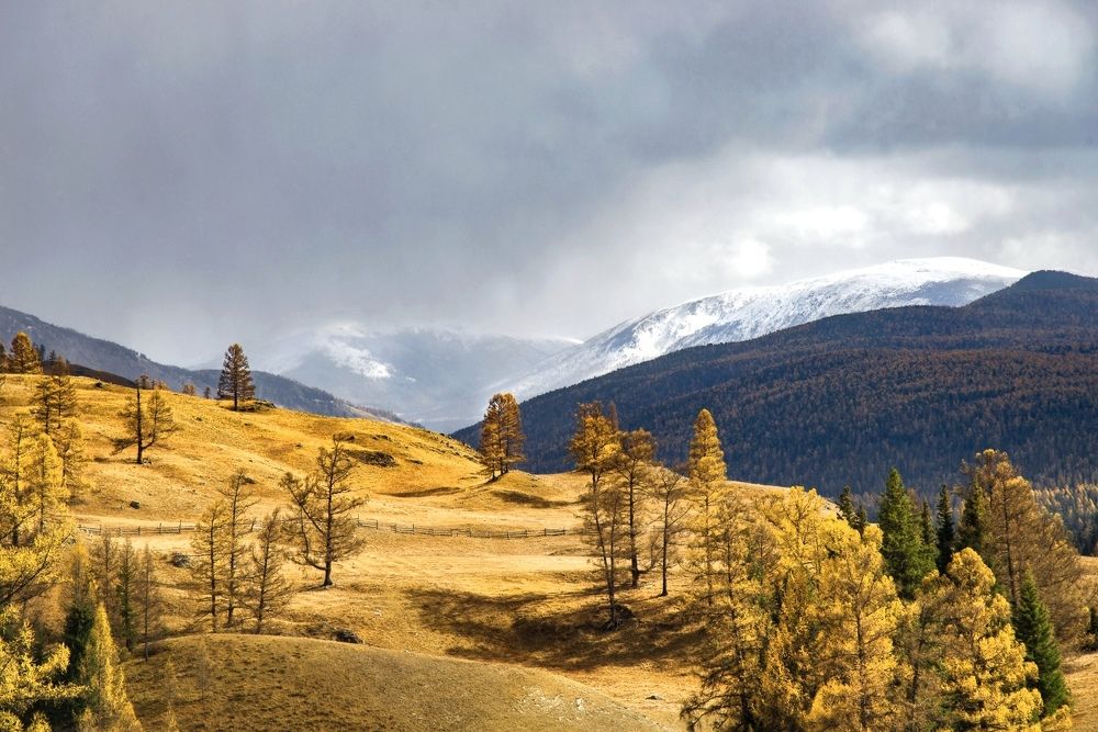 Photograph by Вадим Качанов