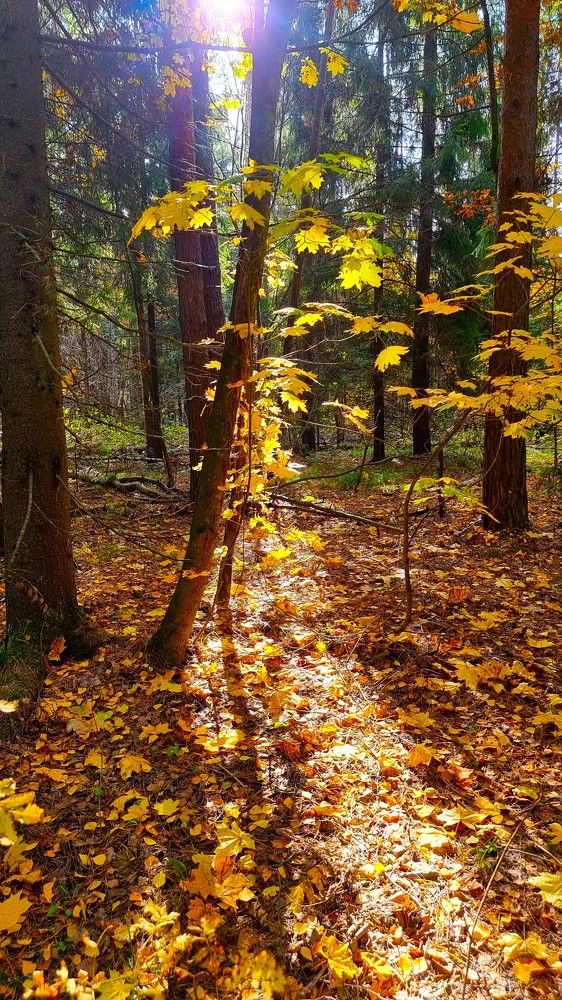 Photograph by Marie G