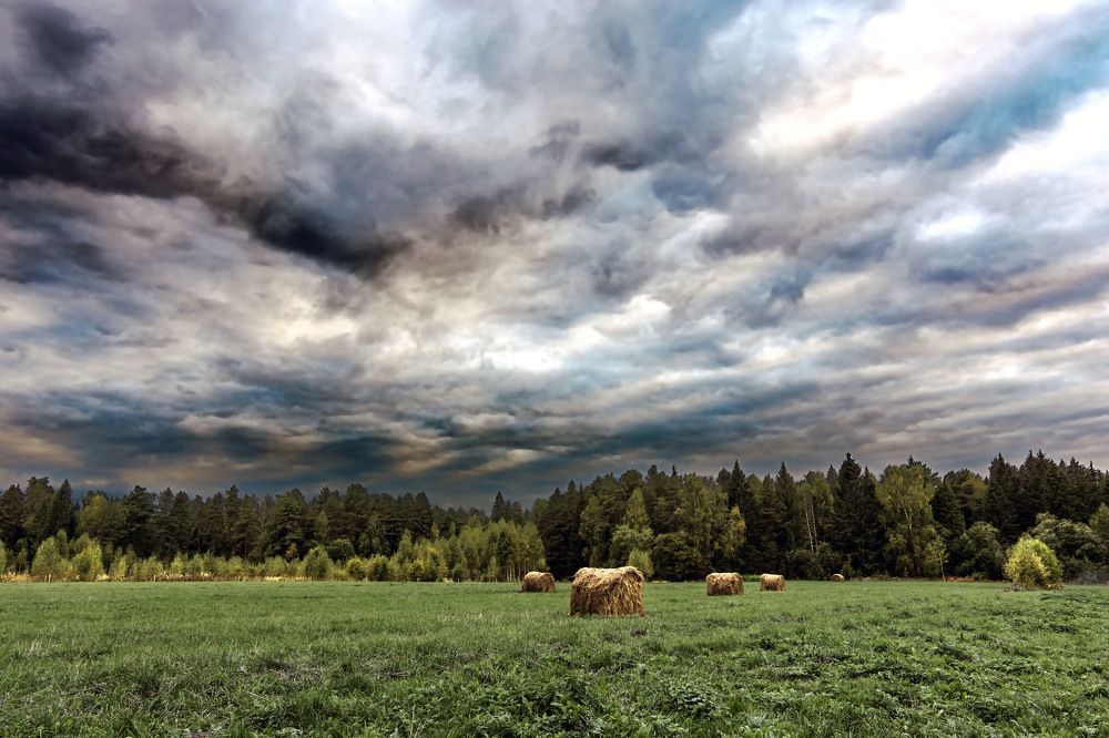 Photograph by Виктор Степанов