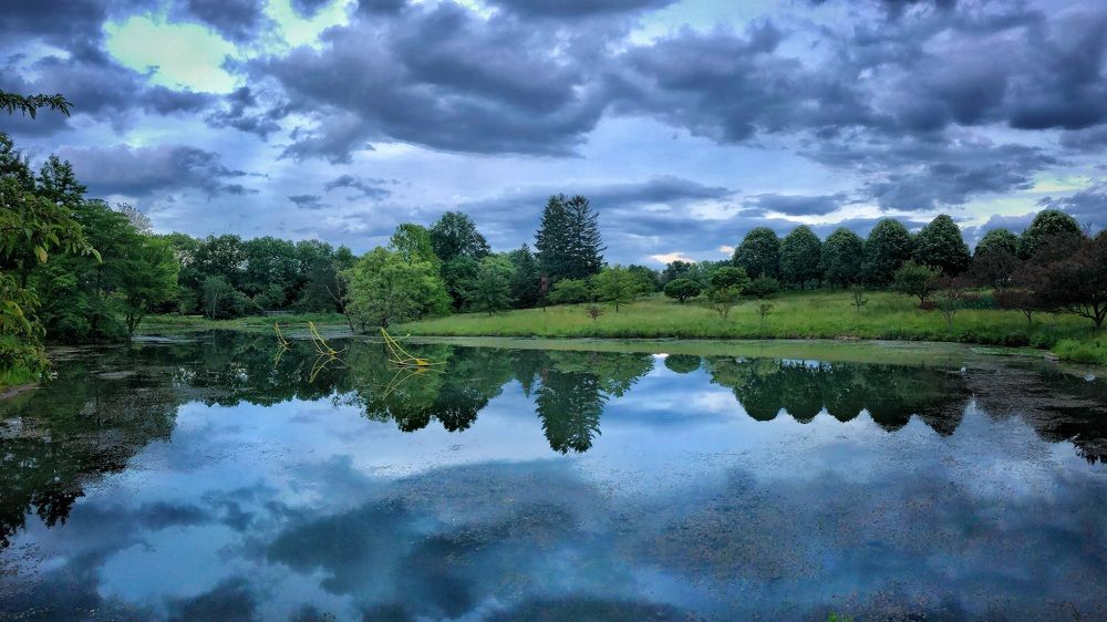 Фотография автора Qassem Ahmed Alzarra