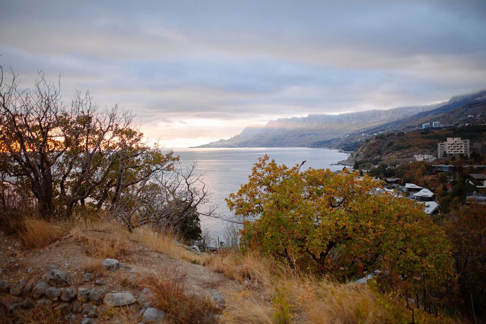 Photograph by Раиса Алексеева