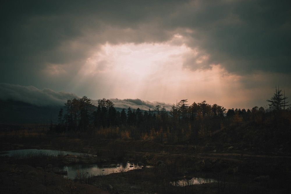 Photograph by Александр Салякаев