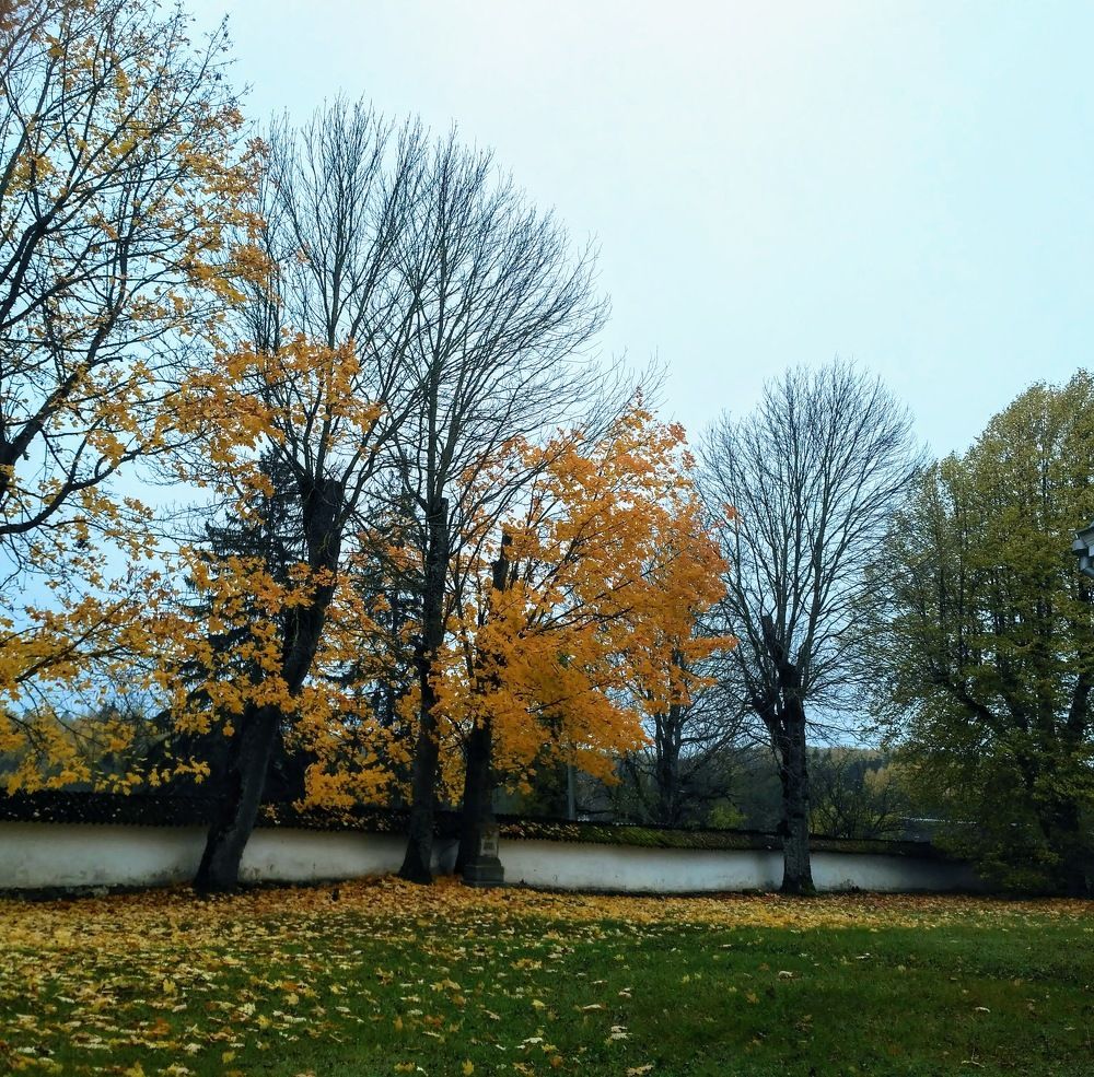 Фотография автора Наталья