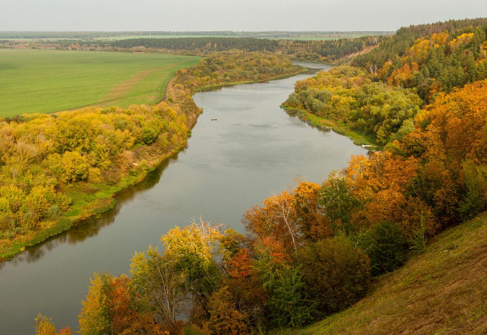 Фотография автора Алексей Тимофеев