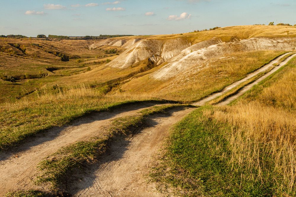 Фотография автора Алексей Тимофеев