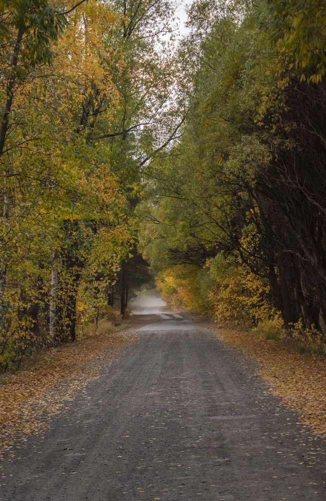 Photograph by Валерия Бебенина
