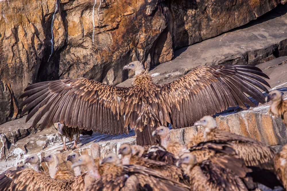 Фотография автора Aman Vishnu