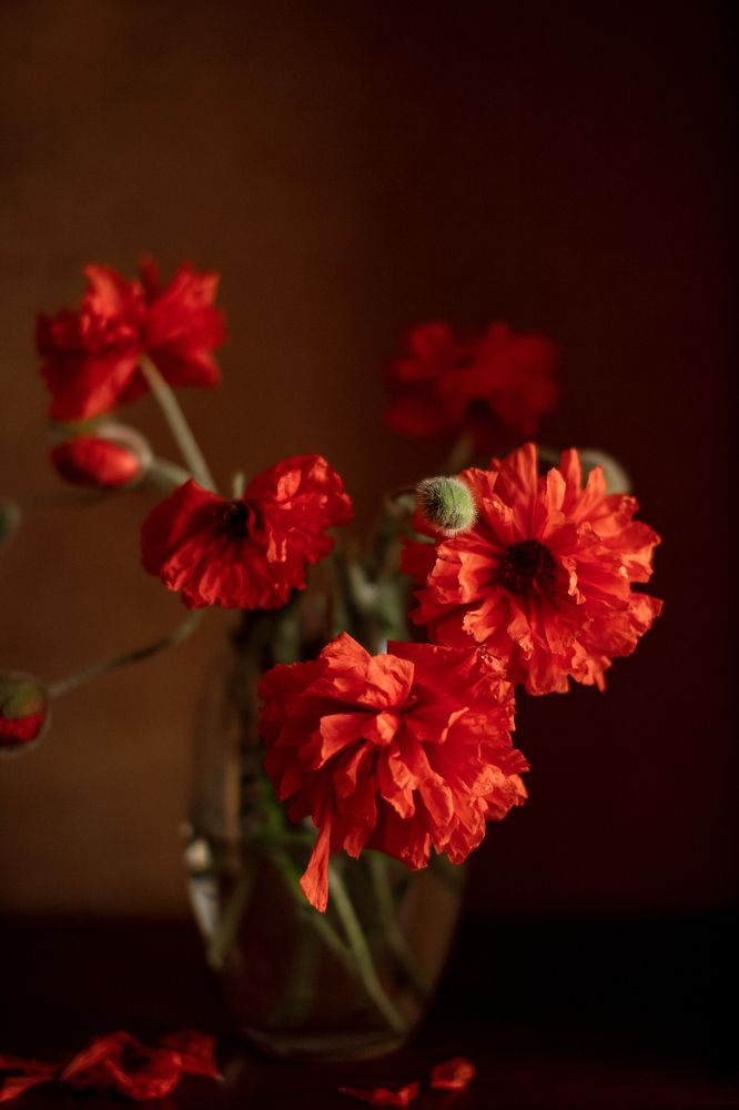 Photograph by Екатерина Езубец