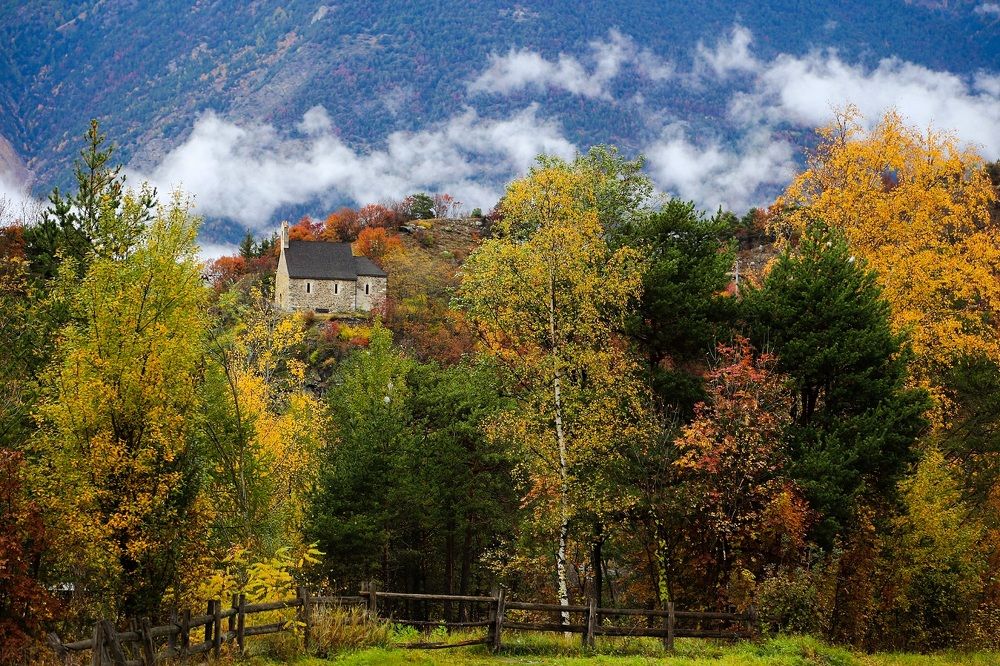 the second spring - where every leaf becomes a blossom