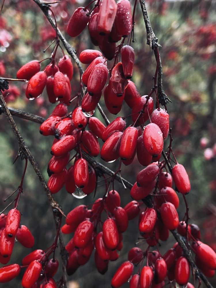 После дождя