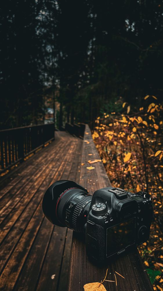 Photograph by Дарья Григорьева