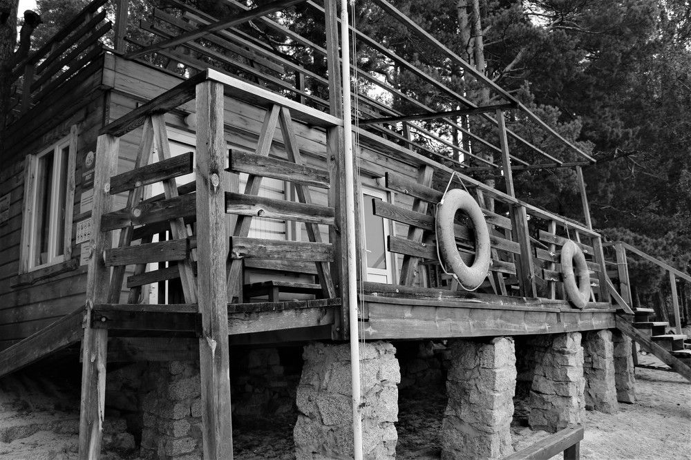 Photograph by Софья Белоногова