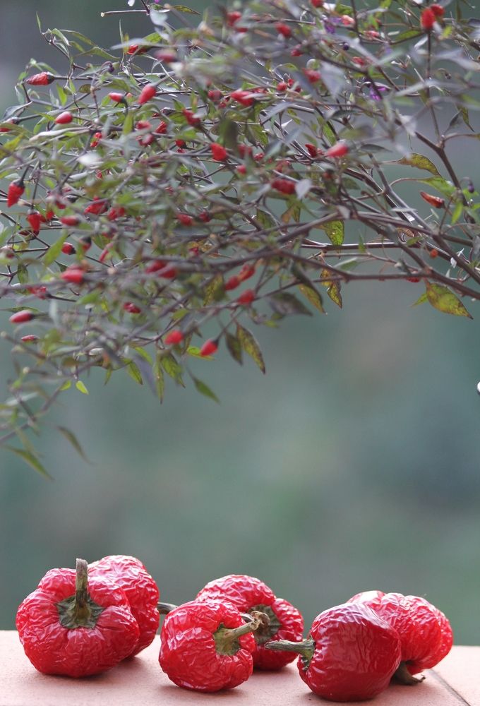 Photograph by Nadzeya