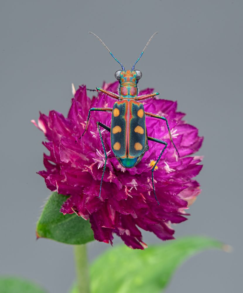 Photograph by tan sintiong