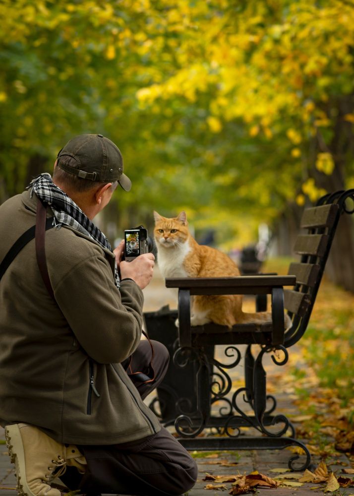 Photograph by Анна