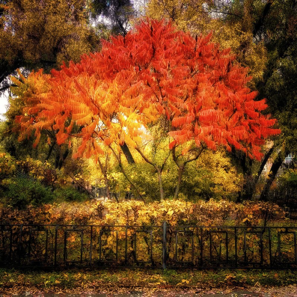 Photograph by Игорь