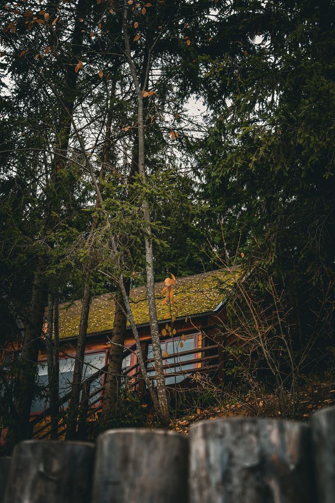 Photograph by Дарья Григорьева