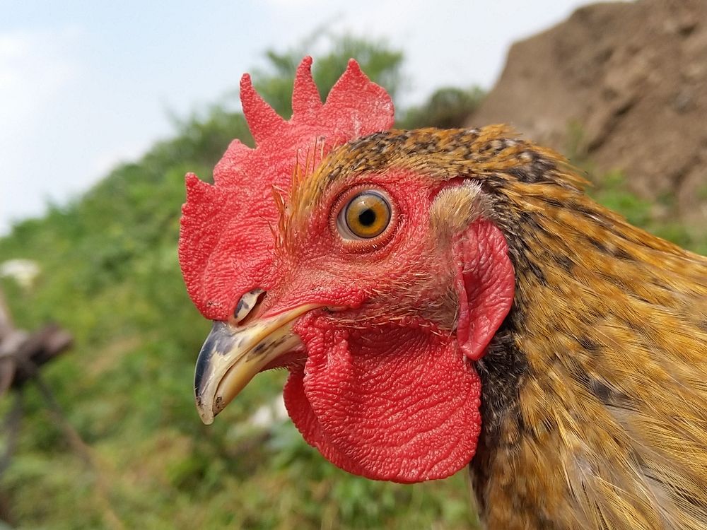 Photograph by sumit sitole