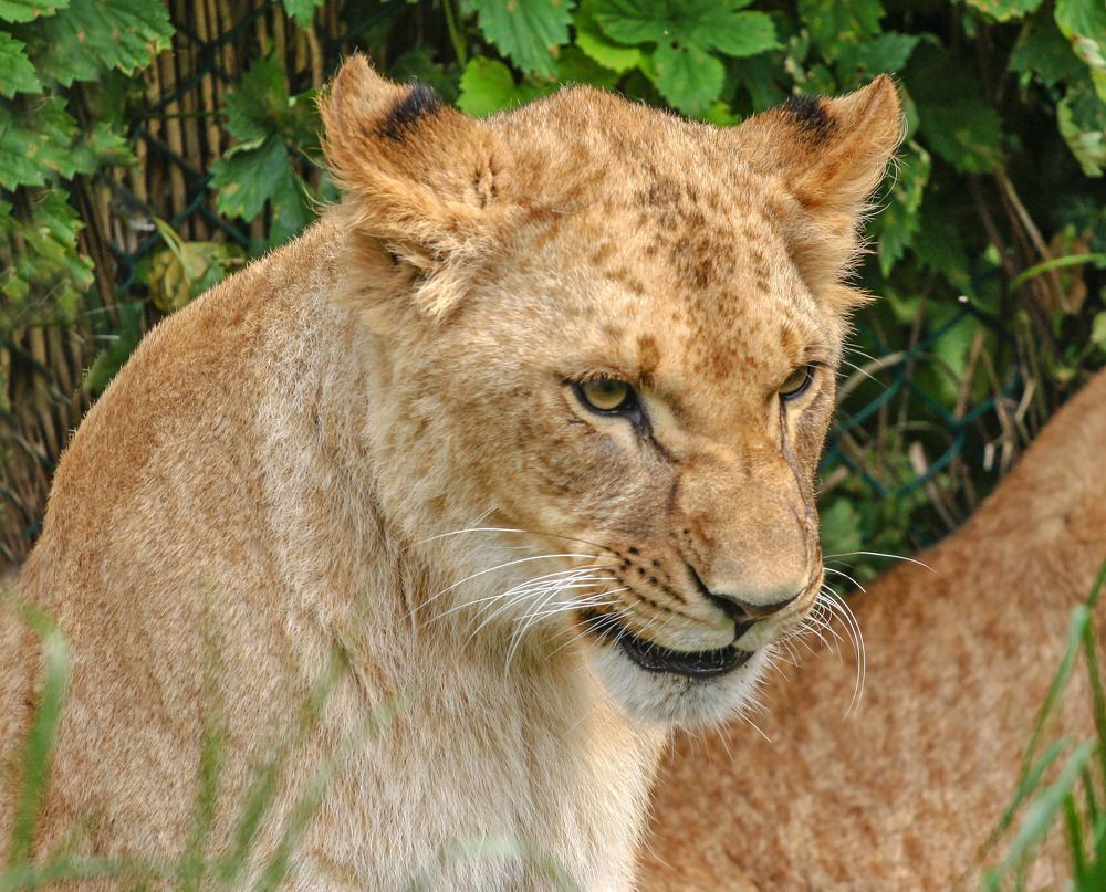 Photograph by Игорь