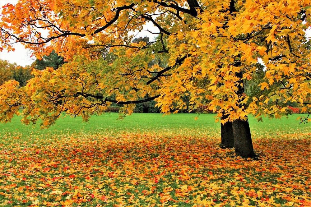 Photograph by Светлана