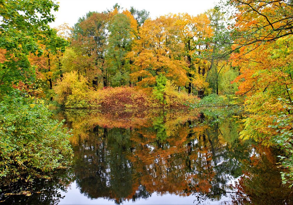 Photograph by Светлана