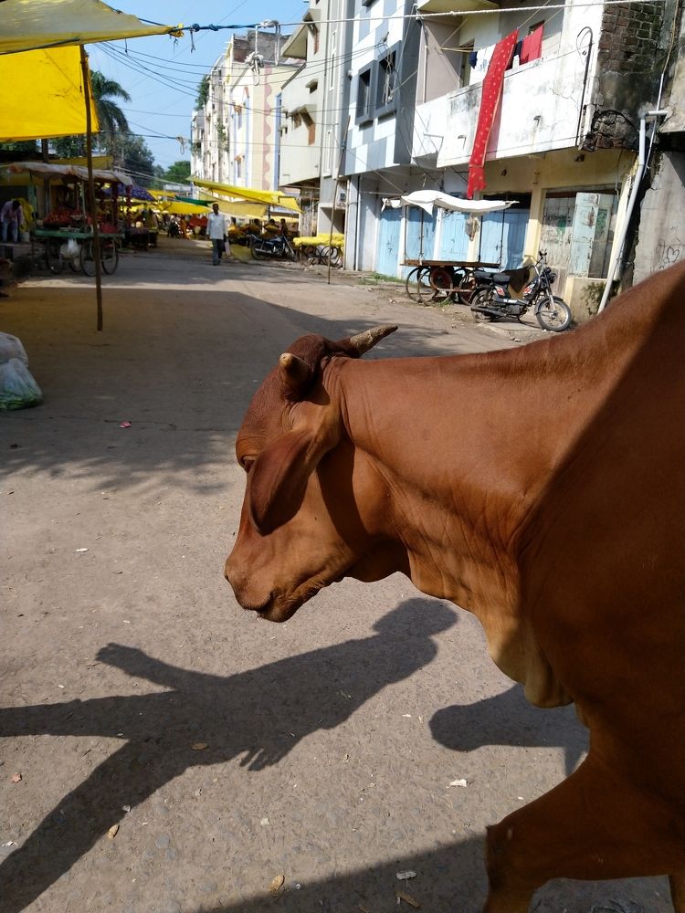 Photograph by sumit sitole