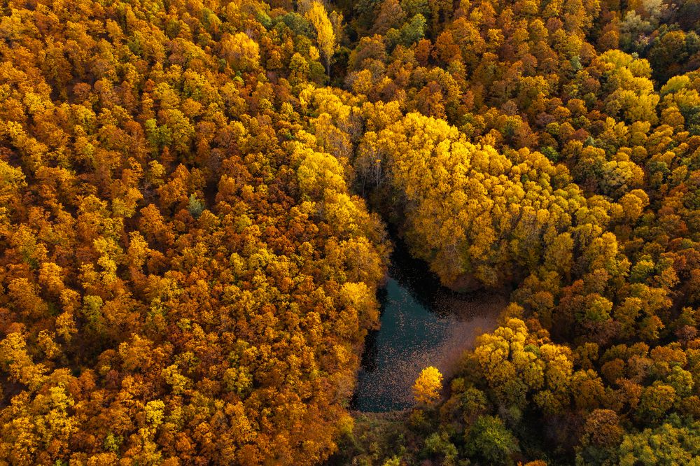 Photograph by Радослав Сотиров