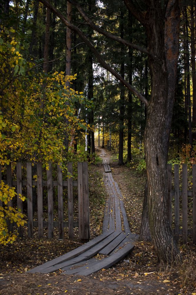 Photograph by Валерия Бебенина