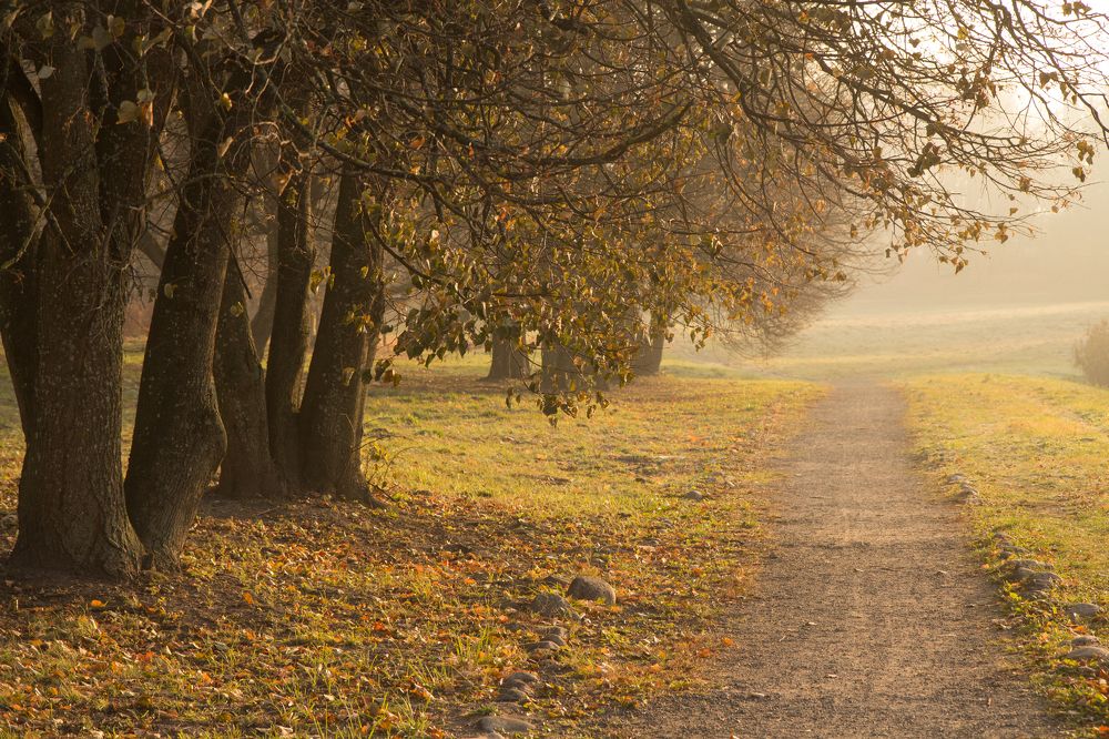 Photograph by Галина Кочеткова