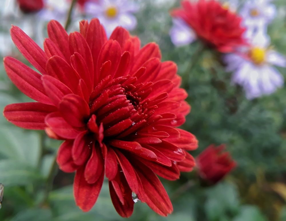 Photograph by Кристина Шляхова