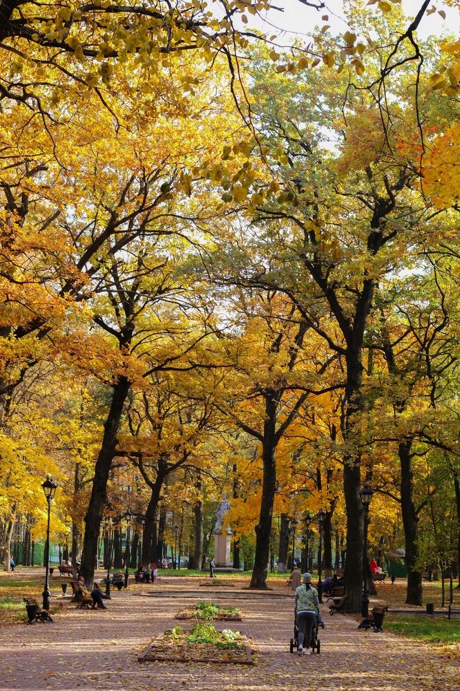 Photograph by Виктория Сивакова