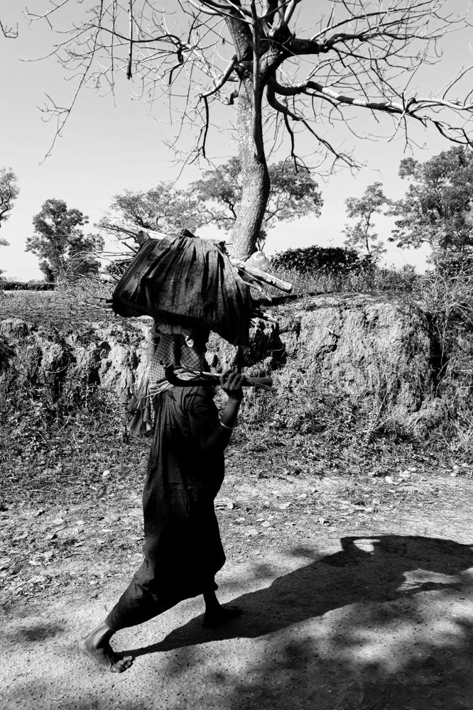 Photograph by Samit Bhattacharjee