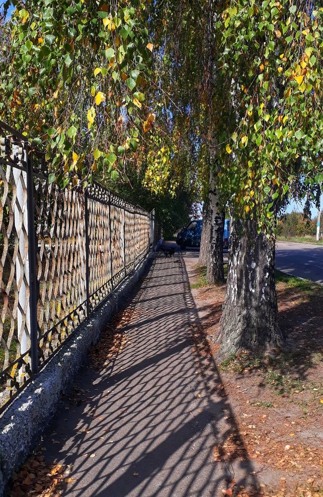 Photograph by Кристина Шляхова