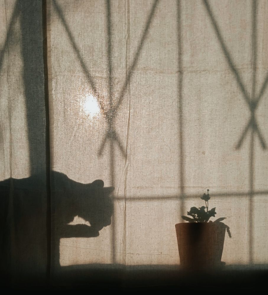 Photograph by Евсеева Валентина