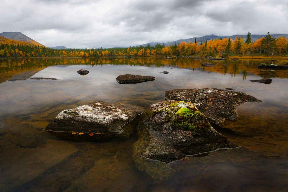 Photograph by Виктория Быкова