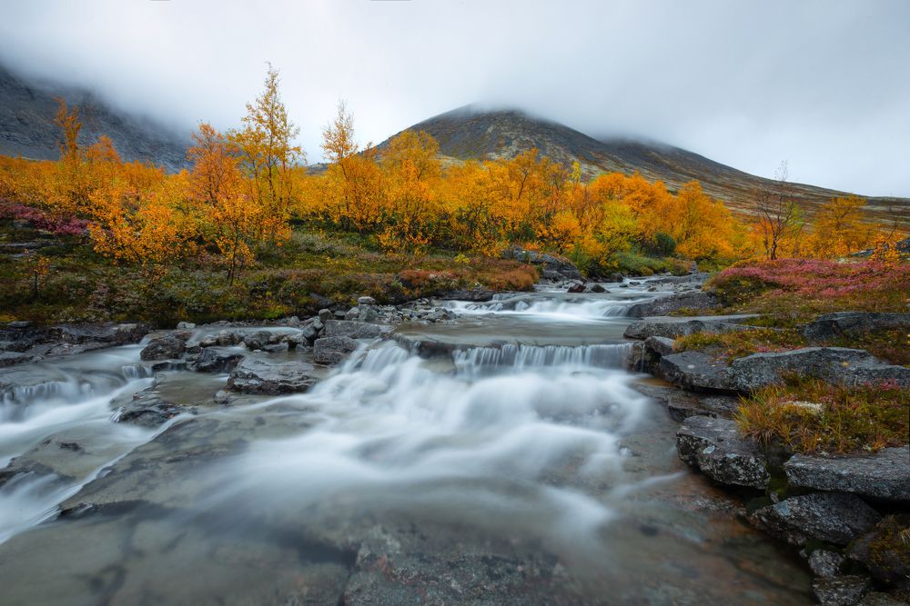 Photograph by Виктория Быкова