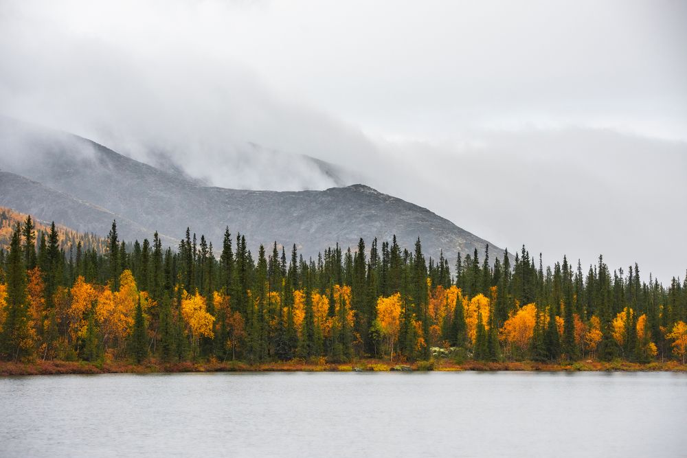 Photograph by Виктория Быкова