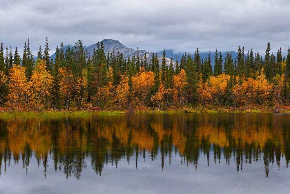 Photograph by Виктория Быкова