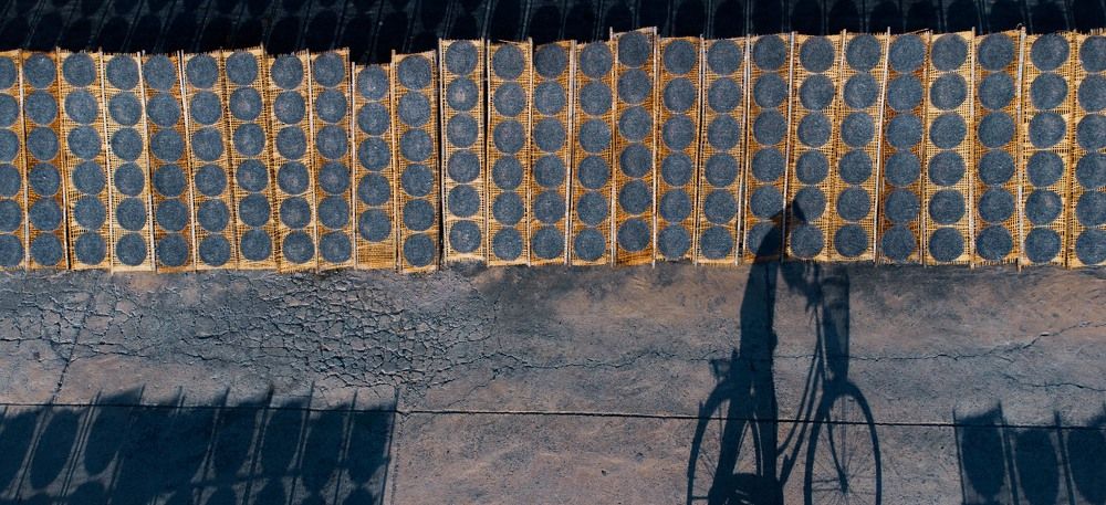 Photograph by Andy Lam