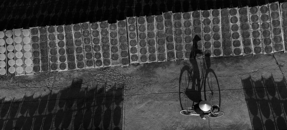 Photograph by Andy Lam