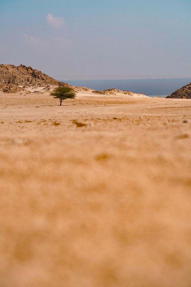 Photograph by Наталья Филатова