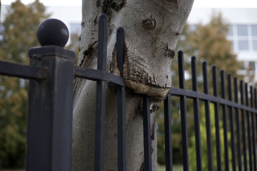 Photograph by Денис Панин