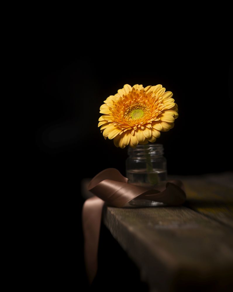 Photograph by Антон