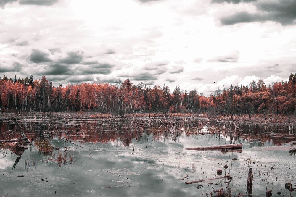 Photograph by Stas Bris